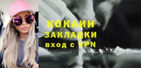 индика Алексин