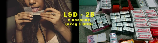 стафф Алзамай