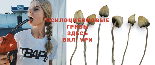 синтетический гашиш Алексеевка