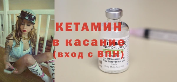 индика Алексин