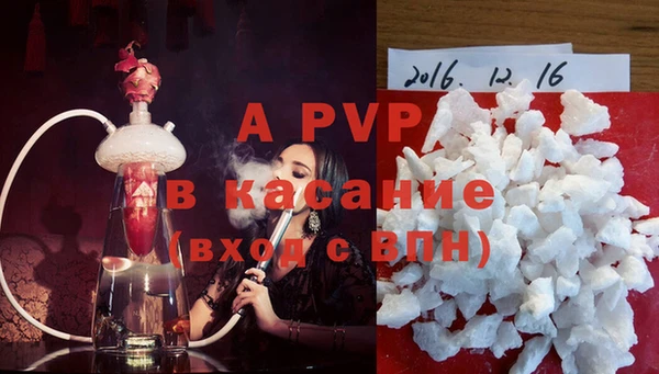 индика Алексин