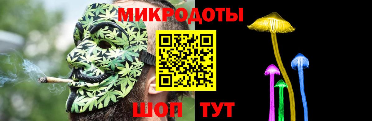 Псилоцибиновые грибы Cubensis Ставрополь